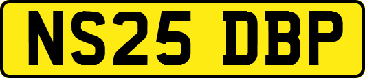 NS25DBP