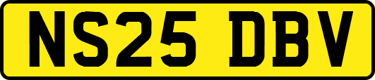 NS25DBV