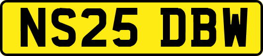 NS25DBW
