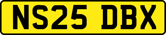 NS25DBX