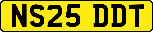 NS25DDT