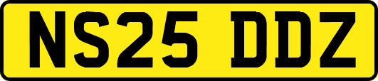 NS25DDZ