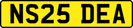 NS25DEA