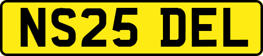 NS25DEL