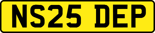 NS25DEP