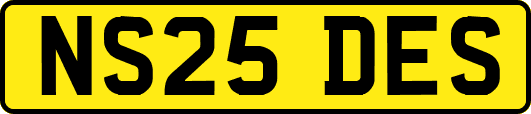 NS25DES