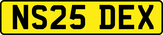 NS25DEX