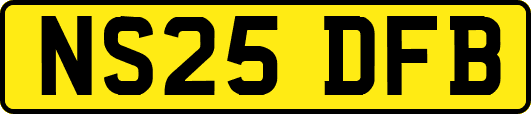 NS25DFB