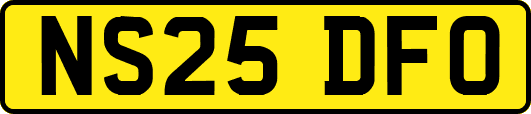 NS25DFO