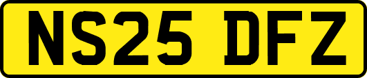 NS25DFZ