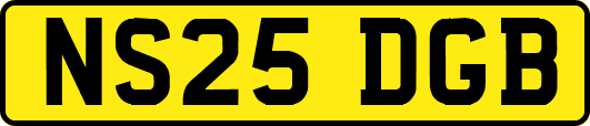NS25DGB