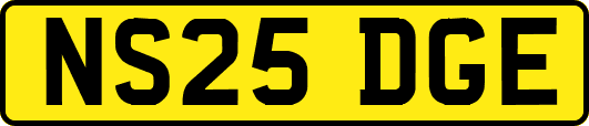 NS25DGE