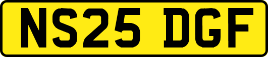 NS25DGF