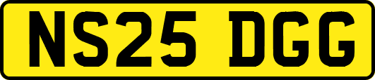 NS25DGG