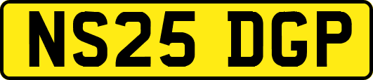 NS25DGP