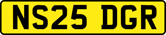 NS25DGR