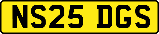 NS25DGS