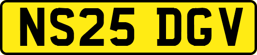 NS25DGV