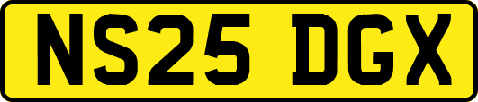 NS25DGX