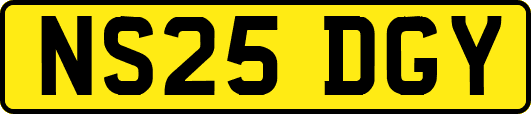 NS25DGY