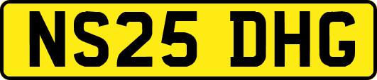 NS25DHG