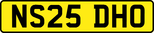 NS25DHO