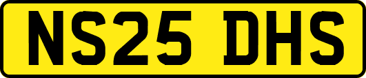 NS25DHS