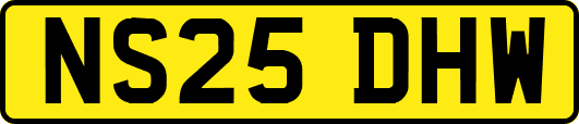 NS25DHW