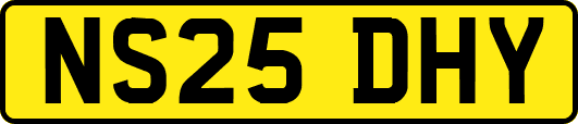 NS25DHY