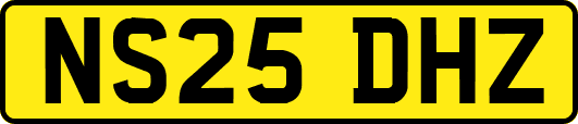 NS25DHZ