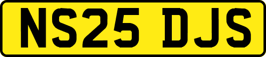 NS25DJS