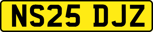 NS25DJZ