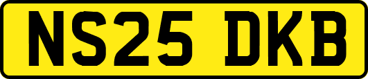 NS25DKB