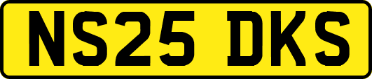 NS25DKS