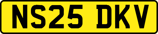 NS25DKV