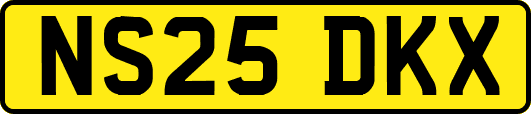 NS25DKX