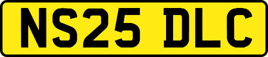 NS25DLC