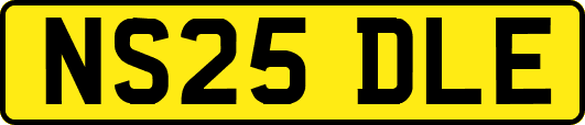 NS25DLE