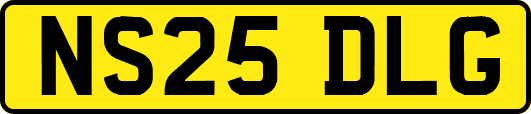 NS25DLG