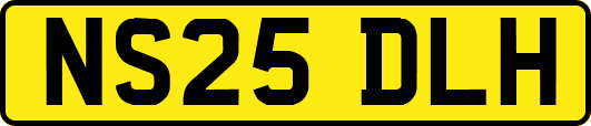 NS25DLH