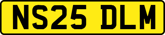 NS25DLM