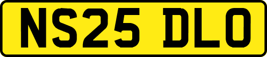 NS25DLO