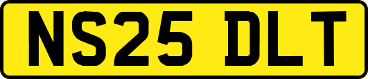 NS25DLT