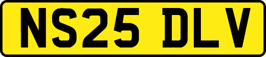 NS25DLV