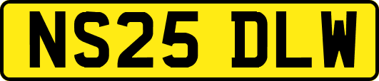 NS25DLW