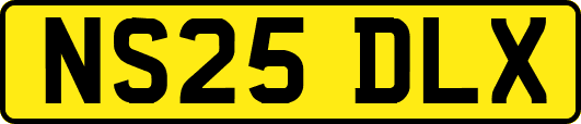 NS25DLX