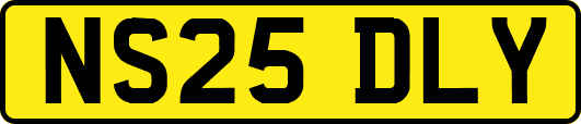 NS25DLY