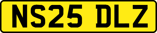 NS25DLZ
