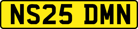 NS25DMN
