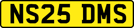 NS25DMS